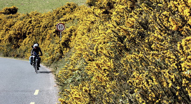 Ireland66.JPG